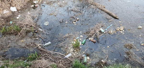저수지 물가주변 및 수초 사이에 생활쓰레기 등이 뒤범벅으로 쌓여 있다
