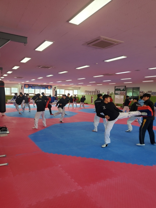 진천군 직장운동경기부 태권도선수들이 훈련을 하고 있다.